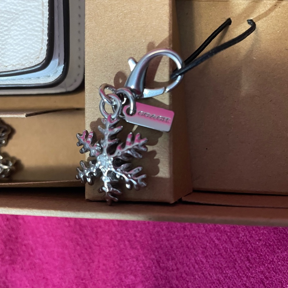 NWT COACH box set: mini wallet with crossbody chain and two charms. - Picture 8 of 16